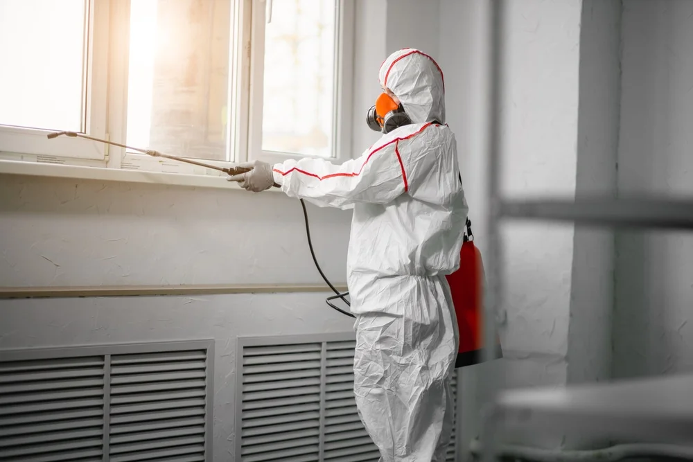 Professional mold remediation services in Shakopee, MN